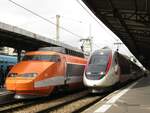 dummy tgv (neuaufbau)